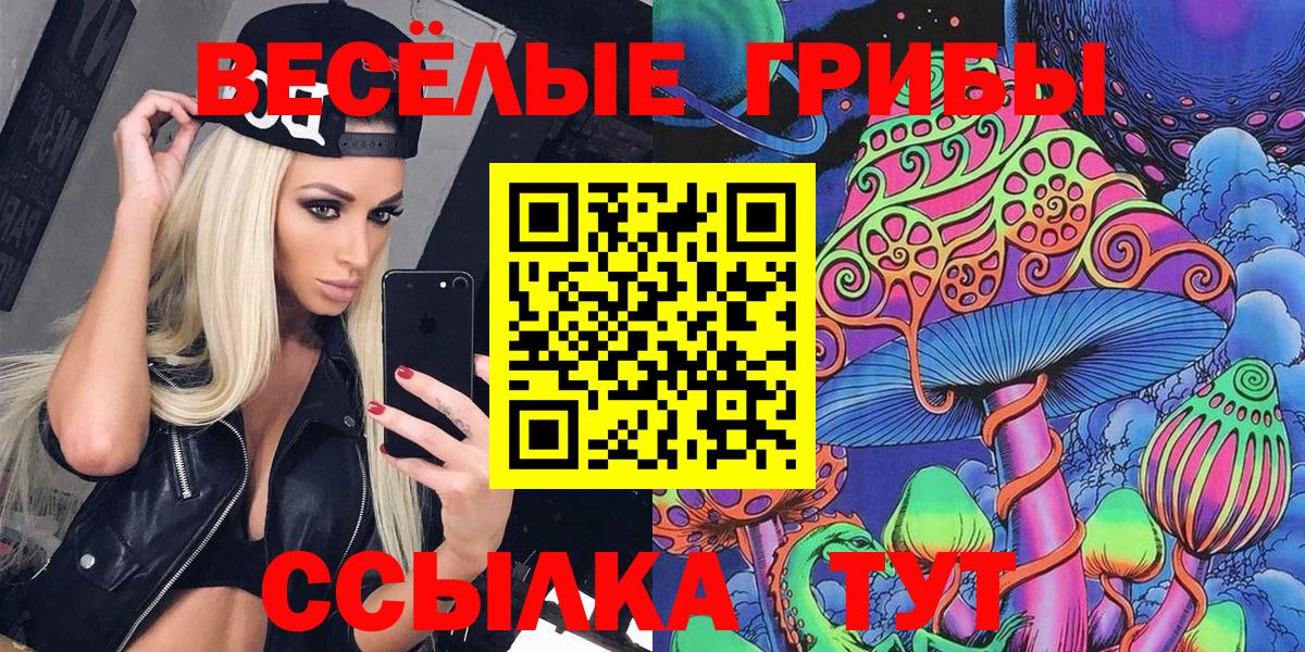 Кинель  Псилоцибиновые грибы ЛСД  Галлюциногенные грибы MAGIC MUSHROOMS  Вход с VPN 